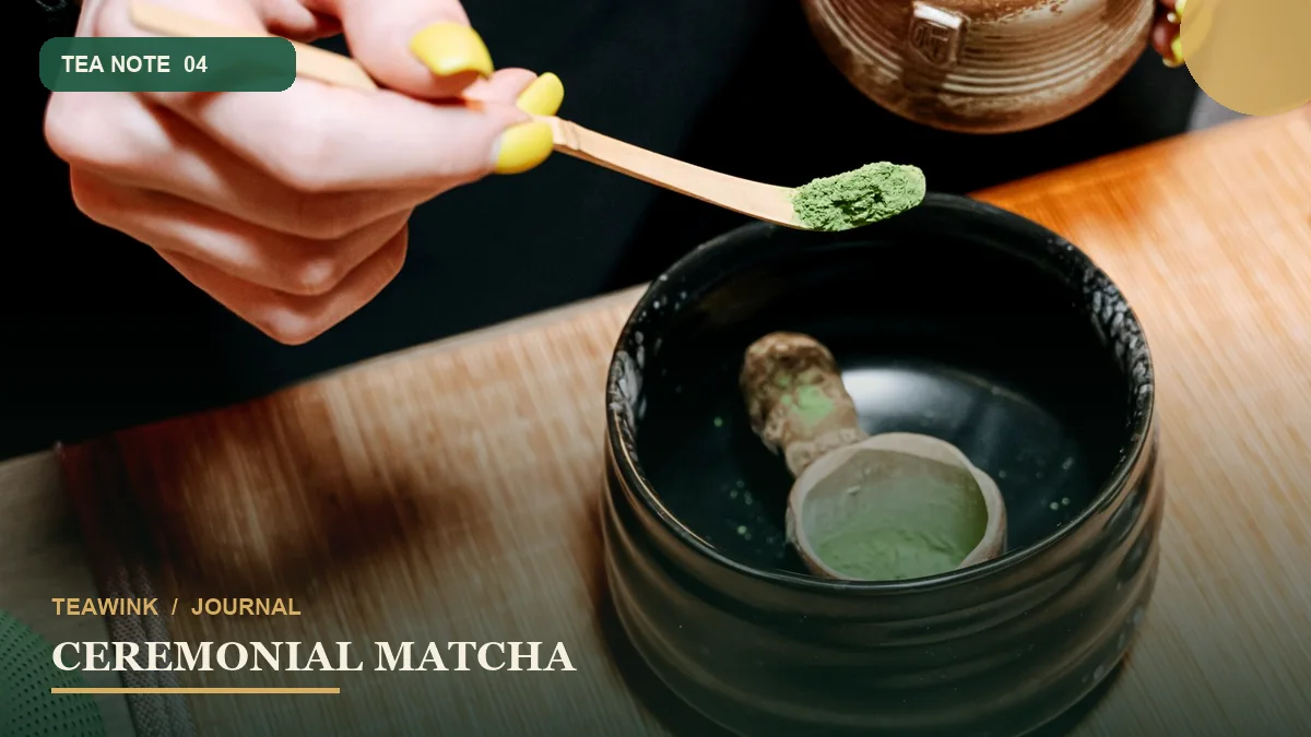 Ceremonial Matcha untuk Usucha: Panduan Memilih dan Menyeduh