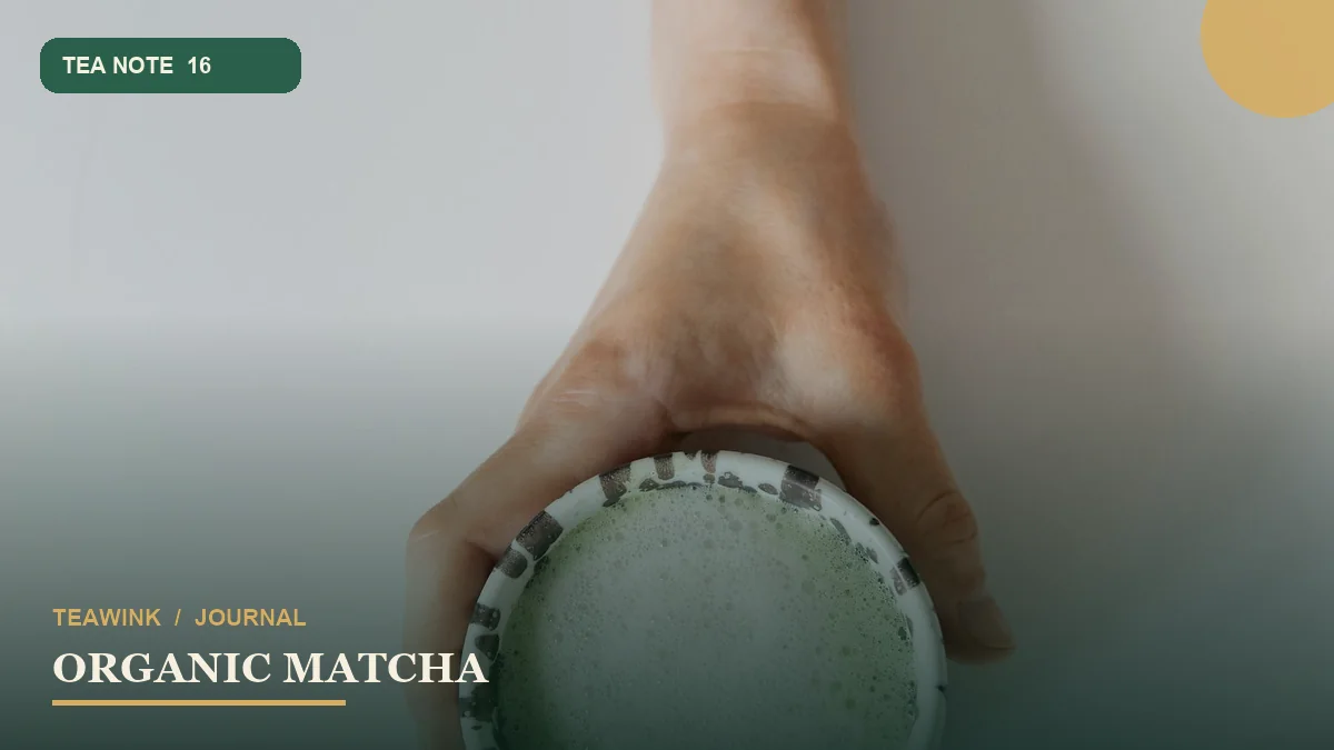 Organic Matcha: Cara Membaca Label dan Menilai Kualitas